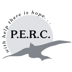 PERC logo